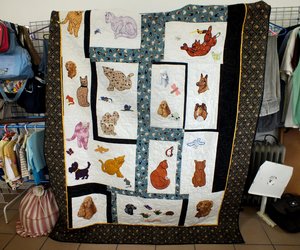 GRATIS Sterilisasie veldtog